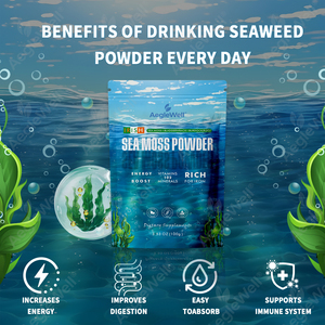 Aegelwell Veganistisch Iers Zeemospoederpoeder 3.53 Oz Met Blaaswrack Kliswortelextract Voor Energieondersteuning - Product Image 2