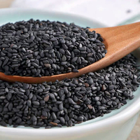 600 graines noires de sésame, meilleurs produits alimentaires, un meilleur démarreur, extracteur indien