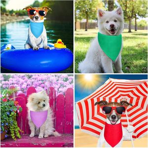 Pañuelos Personalizados para Perros, Bufandas para Mascotas, para Perros Medianos y Grandes, Regalos para Dueños de Cachorros y Mamás - Product Image 6