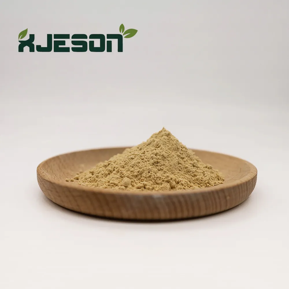 Amerikaanse Ginseng Wortel Extract 5%-80% Ginsenosides Poeder Ginseng Extract