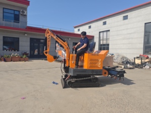 Hoch produktiver <span class=keywords><strong>Mini</strong></span>-Raupen bagger mit Pinnen mäher Graben fräse Pflug Öl hammer Erd bohrer - Product Image 5