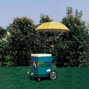 Chariot Pousse-Pousse en Acier Inoxydable pour Vente de Glaces et Esquimaux, un Best-Seller - Product Image 4