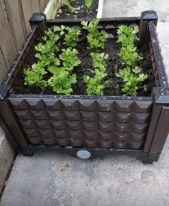 Household Mobile Planting Box Outdoor Balcony Rooftop Flower and <strong>Vegetable</strong> Planting Box <strong>Vegetable</strong> <strong>Pot</strong> - Product Image 6