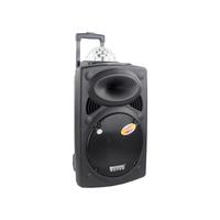 Kamu kalıp iki yönlü 100W 12V 4.5ah kaliteli 15 inç arabası hoparlör ile parti ışığı