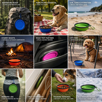 Bol pour animaux de compagnie en silicone platine, compatible micro-ondes, 350 ml, robuste, accessoire de voyage, camping, extérieur, bol à eau personnalisé pour animaux de compagnie