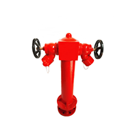 Hydrant d'incendie à double sortie ANSU, type humide, avec vannes, en fonte, DN100, 435 PSI
