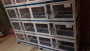 Standart güvercin kafesi kuş kafesi fiyat doğrudan fabrika - Product Image 6