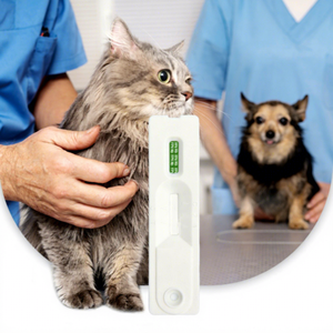 แมวระบบภูมิคุ้มกันผลิตโปรตีนป้องกันไวรัส - Product Image 1