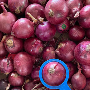 Oignons jaunes et rouges mûrs naturels, de haute qualité, origine Chine, approvisionnement en vrac de légumes - Product Image 1