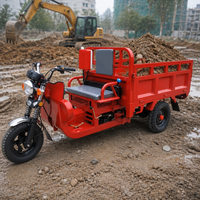 Tricycle cargo à essence avec caisse de rangement en acier, véhicule de livraison à trois roues à moteur essence pour entrepôt et usine
