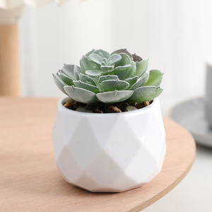 Décoration de <span class=keywords><strong>plantes</strong></span> artificielles en plastique <span class=keywords><strong>mini</strong></span> <span class=keywords><strong>plantes</strong></span> <span class=keywords><strong>succulentes</strong></span> bonsaï <span class=keywords><strong>plantes</strong></span> avec Pots en céramique - Product Image 4