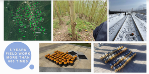 Sismógrafo de estructura geofísica, detector de terremotos, equipo de exploración, sismógrafo, de tipo geofísico - Product Image 6