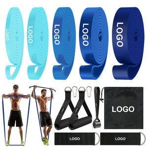 Offre Spéciale : Ensemble de Bandes d'Assistance pour Tractions, Bandes de Résistance Élastiques en Latex pour Exercices de Tractions Assistées, Étirements et Thérapie Physique - Product Image 3