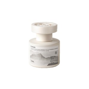 Diffuseur de <span class=keywords><strong>parfum</strong></span> pour voiture en verre émaillé, ornement de siège, nouvelle collection 2026, <span class=keywords><strong>parfum</strong></span> d'intérieur haut de gamme, désodorisant aromathérapie pour voiture - Product Image 1
