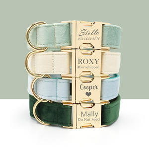 Collier pour chien en velours crème vert cyan de luxe, réglable, gravé au laser, couleur unie, logo personnalisable, boucle en métal, petit et grand - Product Image 1