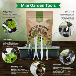Paquete de 15 Variedades de Lechugas de Cultivo Tradicional Sin OMG para Interiores y Exteriores, Incluye Rúcula y Chard Suizo-17700+ - Product Image 3