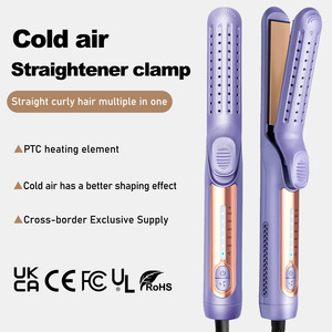 Sèche-cheveux lisseur tout-en-un à vente chaude transfrontalière, plaque PTC anti-brûlure, ne prend pas en charge les ventes nationales - Product Image 1