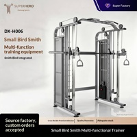 Alat Latihan Terpadu Small Flying Bird Smith, Katrol Ganda Baja dengan Beban yang Dapat Disesuaikan, Model Komersial DX-H006 Hebei