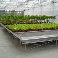 2025 Chine usine tables d'inondation banc roulant de semis plateau de culture supports pour la culture hydroponique