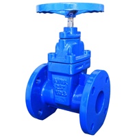 Vanne à opercule à bride avec volant pour l'approvisionnement en eau municipal, l'usine de traitement des eaux usées et l'isolation des conduites DN50-DN600