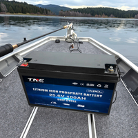 Batterie au lithium LiFePO4 à semi-conducteurs TNE 12V 24V 36V à décharge profonde 50Ah 100Ah 200Ah 300Ah 6000 cycles pour moteur de pêche à la traîne, camping-car et caravane