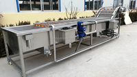 Industriële Avocado Wassen Machine Aardbei Wasmachine Groente Wasmachine