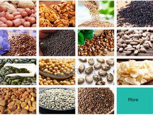 Precio bajo pequeño uso doméstico Extractor de aceite de coco prensador semillas de girasol prensa de aceite - Product Image 6