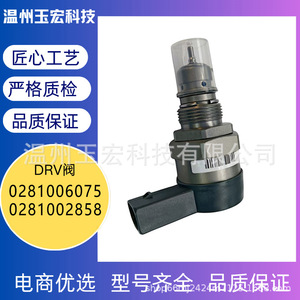 Régulateur de pression de carburant, soupape DRV 0281006075 0281002858 pour système Common Rail Diesel, pièces automobiles - Product Image 5