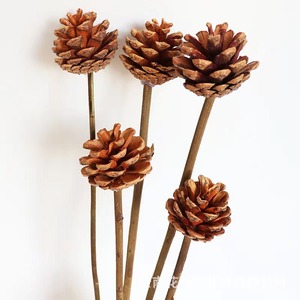 Ramo de cono de pino, flores <span class=keywords><strong>preservadas</strong></span> para bebés, flores secas de Color blanco, respiración de bebé para decoración de bodas o casas - Product Image 6