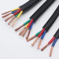 Kabel Multi-Core Tianyuan ZR-RVV 750V Panjang Sesuai Pesanan, Tahan Api, Fleksibel, Kawat Tembaga Terpilin, Selubung PVC, untuk Bangunan Industri