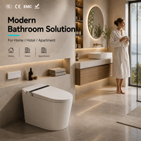 WC intelligent monobloc en acier inoxydable à poser au sol, chasse d'eau par siphon, eau froide, lavage féminin, lavage anal, buse autonettoyante