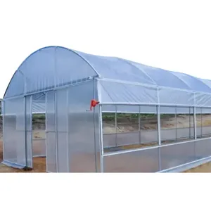 China supplier cheap cost hot sales garden plastic vegetable tunnel greenhouse