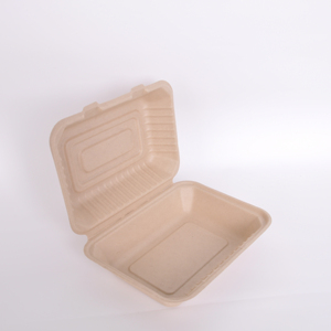 Sugarcane clamshell takeout fast food box biodegradable disposable tableware food containers