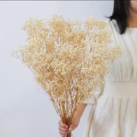 Bouquet de Gypsophile Fleurs Séchées Blanches 'Souffle de Bébé' pour Mariage ou Décoration d'Intérieur