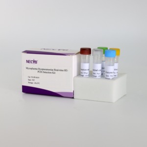 Bộ pcr huỳnh quang độ nhạy cao cho <span class=keywords><strong>Mycoplasma</strong></span> hyopneumoniae ở lợn-Kết quả nhanh chóng - Product Image 4