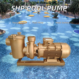 Bomba de Agua Eléctrica de Cobre de 5hp 380v para <span class=keywords><strong>Piscinas</strong></span>, Filtro de Latón, Bomba de Calor de 5hp para <span class=keywords><strong>Piscinas</strong></span>, Bombas de Piscina Eléctricas de 380v, Bombas Circuladoras de 3hp - Product Image 5