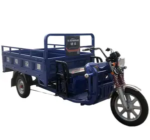 Chinese factory wholesale low price adult three wheeler battery power electric cargo tricycle