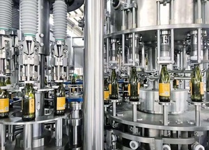 Venta directa de fábrica de pulpa de <span class=keywords><strong>mango</strong></span> jugo de llenado máquina de embalaje - Product Image 3
