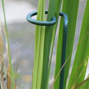 Plantes de jardin à tige unique avec tige unique, 1 pièce, tige de Support, Cage en acier, anneau pour Gladiolus, Iris, dalia, amarllis, Rose, lys et pivoine - Product Image 3