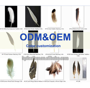 帽子アクセサリーアートと工芸品の装飾のための卸売染めウォッシュドホワイトウィングマラードグースフェザー羽毛グレーダックフェザー - Product Image 6