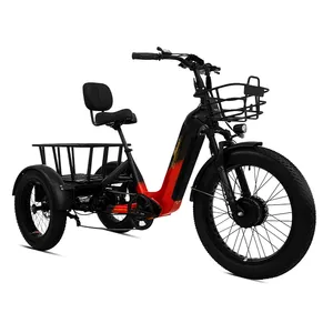 Berserk 2000W adım elettrica triciclo 48v through çift motor tork sensörü elektrikli üç tekerlekli bisiklet 40ah çift pil e trike