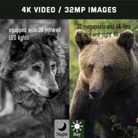 Caméras de surveillance de la faune Keepguard OEM ODM d'usine 32MP 4K 30FPS avec fonction Time-lapse, déclenchement rapide et détection de mouvement PIR