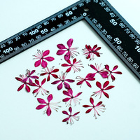 Plantes naturelles Bouquet de fleurs séchées Pressé papillon séché Pois fleur Nail Art, décalcomanies faciales, spécimens de fleurs pressées