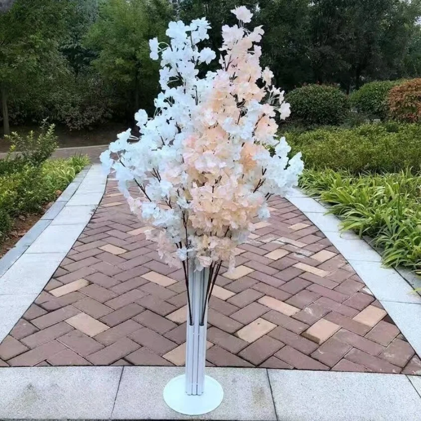 Champagne blanc 2