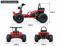 Buggy électrique 48V avec frein à disque hydraulique, vitesse maximale de 39 km/h, transmission par chaîne, pneus de course sur route