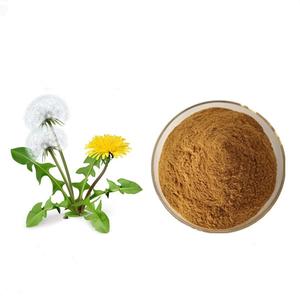 タンポポ根エキス5:1, 10:1, 20:1, 3% フラボンタンポポエキス粉末 - Product Image 1