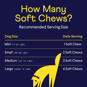 Friandises molles pour soulager les démangeaisons allergiques chez le <span class=keywords><strong>chien</strong></span>, OEM/ODM - Probiotiques, huile de saumon pour la santé de la peau, soutien immunitaire, soins de santé - Product Image 4