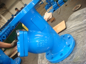 DN40-DN800 סוג y עם רשת סינון ss304 - Product Image 3