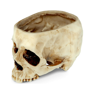 Weivista Halloween nhựa trang trí hộp sọ hình trồng hoa nồi kẹo bát - Product Image 3