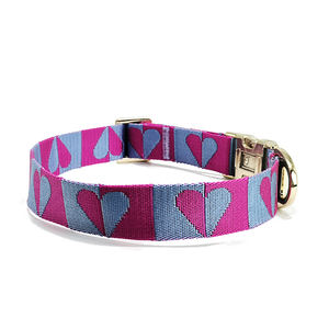 <span class=keywords><strong>Collar</strong></span> de perro de nailon con hebilla de Metal de Color dorado de lujo con logotipo Jacquard personalizado hermoso - Product Image 3